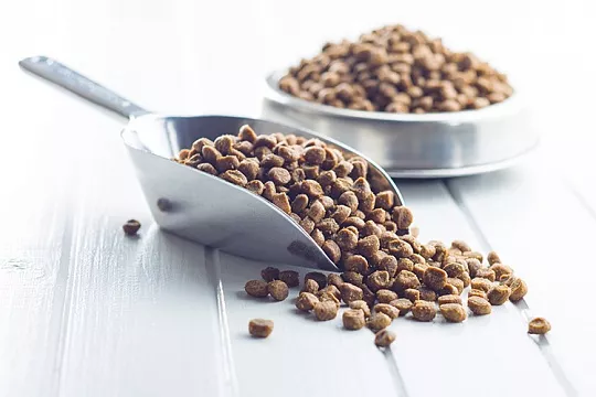 Может ли корм отличаться от партии к партии