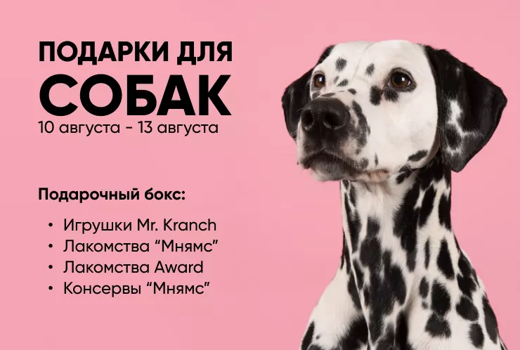 РОЗЫГРЫШ подарков для ваших питомцев!