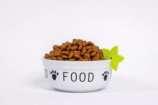 Качество белка в корме: почему это важно