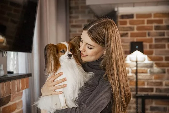 Собака понимает вас больше, чем вы догадываетесь! 