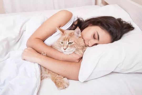 Самые ласковые кошки