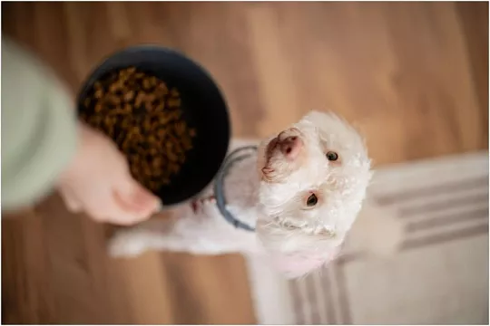 Элиминационная диета