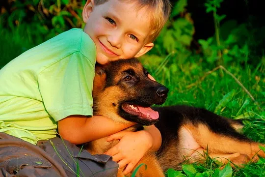 Ребенок и собака