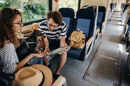 Собака в поезде. Чек-лист, как подготовить питомца к поездке