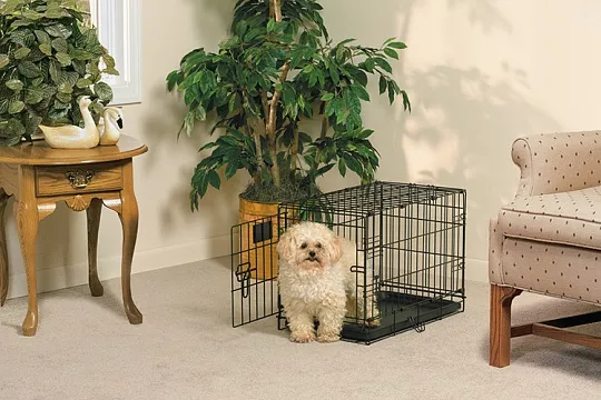 Клетки для щенков в квартиру