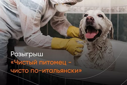 Весенний розыгрыш от Iv San Bernard и «Хвост Ньюс»