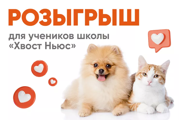 Розыгрыш для учеников Школы "Хвост Ньюс"