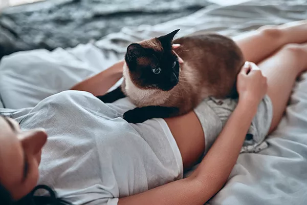 Почему кошки спят на человеке? | Хвост Ньюс