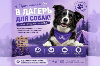 Кинологический лагерь для владельцев и их собак