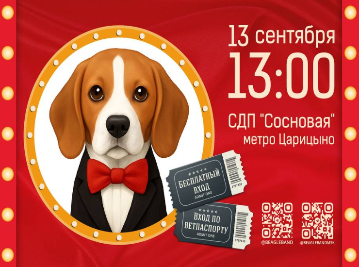 ДЕНЬ БИГЛЯ – BEAGLEWOOD