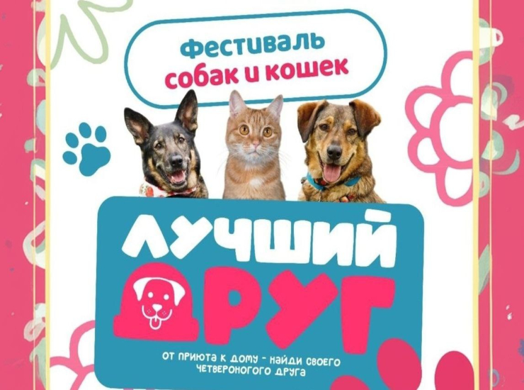 Фестиваль «Лучший друг»