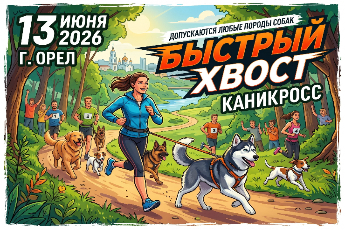 «Быстрый Хвост»