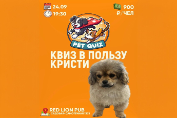 Квиз в пользу Кристи