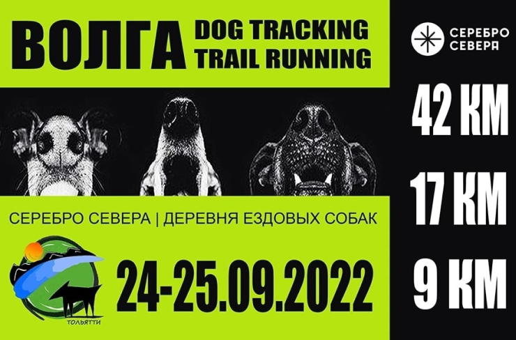 Волга дог-трекинг 2022 Волга дог-трекинг 2022
