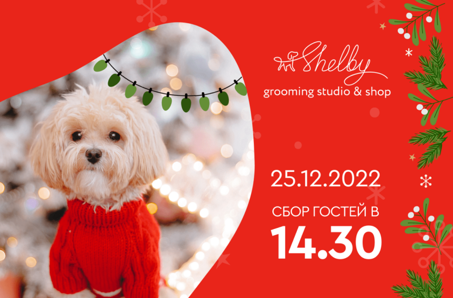 Новогодняя вечеринка Shelbi Новогодняя вечеринка Shelbi