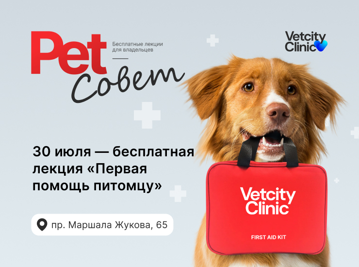 «Первая помощь питомцу»