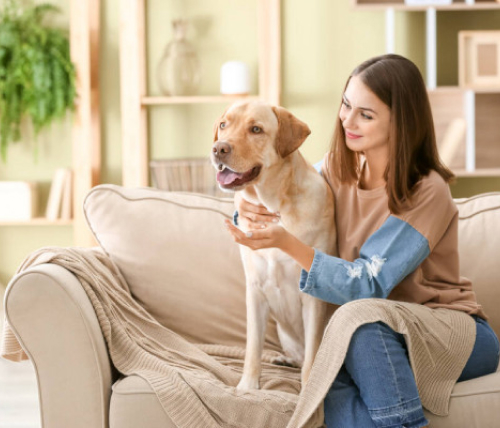 Pet-friendly сообщество для владельцев домашних животных Pet-friendly сообщество для владельцев домашних животных