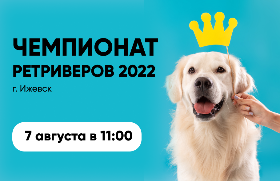 Чемпионат ретриверов 2022 Чемпионат ретриверов 2022