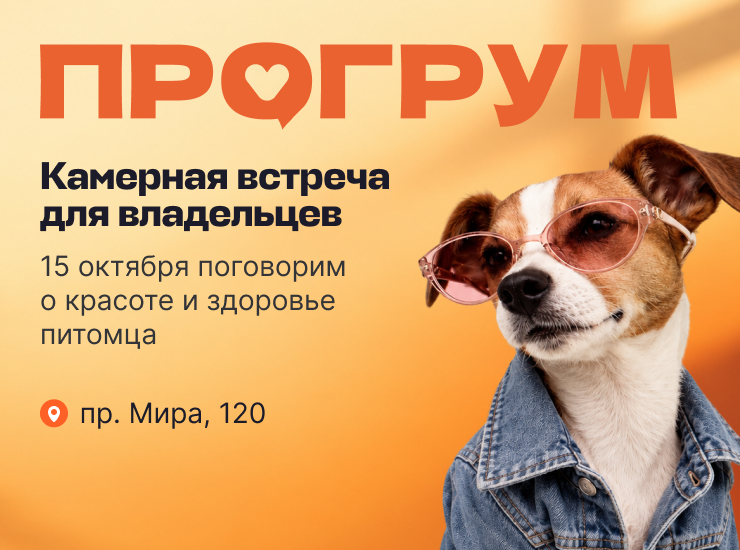 Модная встреча: красота с заботой о питомце