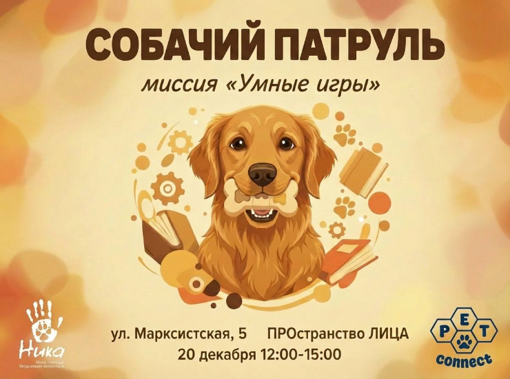 Собачий патруль: миссия «Умные игры»