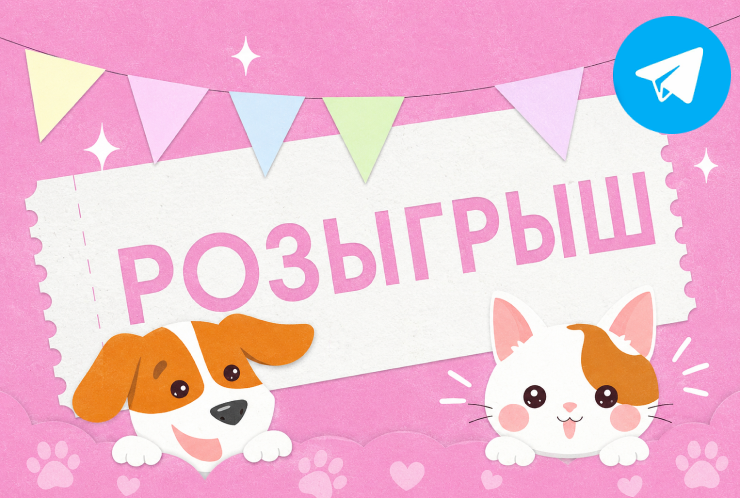 Розыгрыш подарков в Telegram!