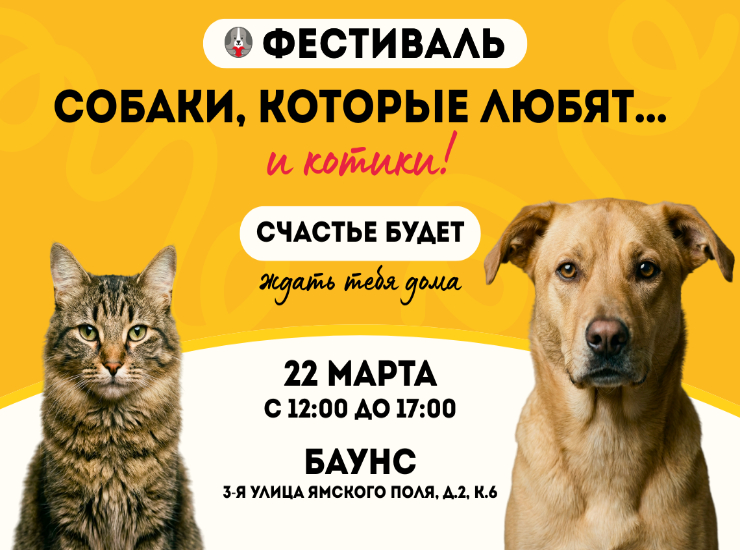 «Собаки, которые любят… и котики!»