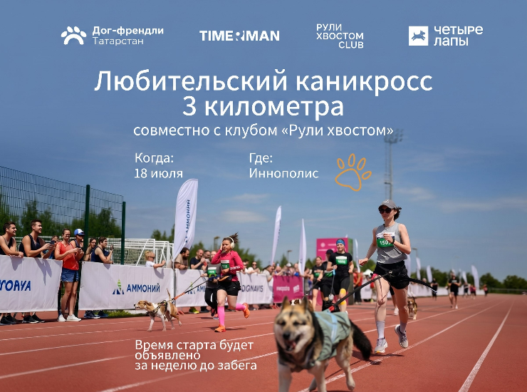 «Рули хвостом» 2026