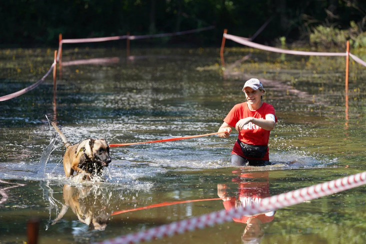 Canine Trophy: драйв, квесты и водные приключения Canine Trophy: драйв, квесты и водные приключения