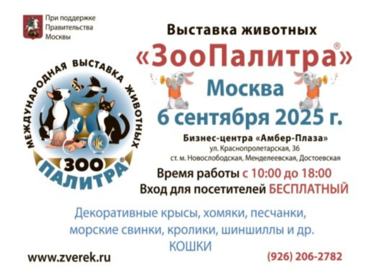 «ЗооПалитра»