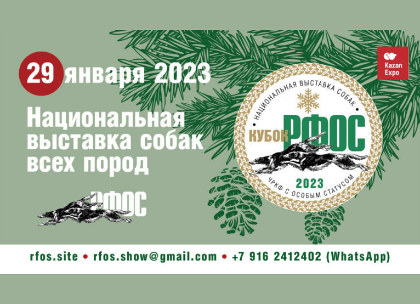 Собанеевка 2023: грандиозная выставка собак охотничьих пород, аджилити, ноузворк, танцы Собанеевка 2023: грандиозная выставка собак охотничьих пород, аджилити, ноузворк, танцы