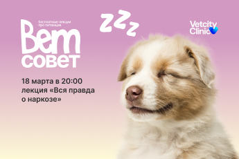 «Вся правда о наркозе»