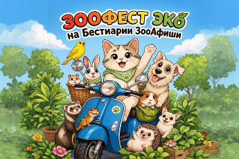 ЗООФЕСТ ЭКО на выставке «Бестиарий ЗооАфиши»