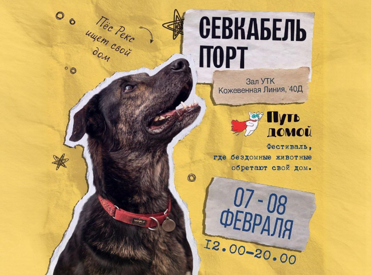 «Путь домой»