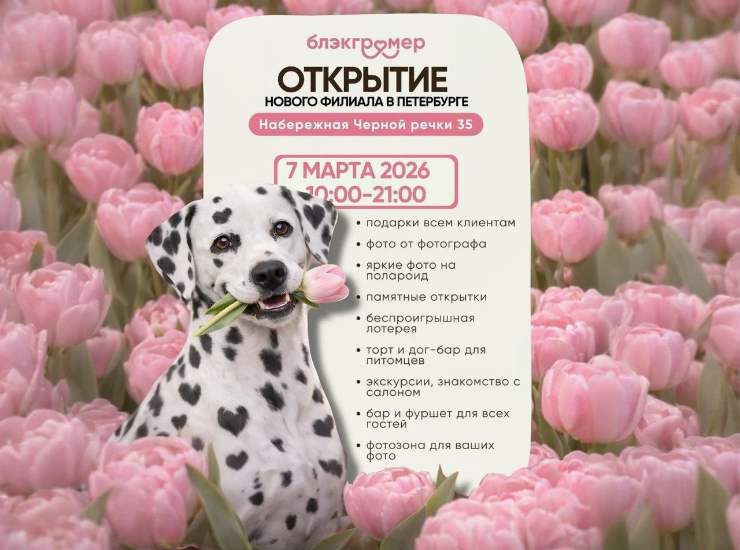 Открытие нового груминг-салона «Блэкгрумер»