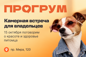 Модная встреча: красота с заботой о питомце
