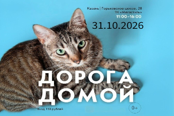 «Дорога домой»
