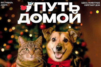 «Путь домой»