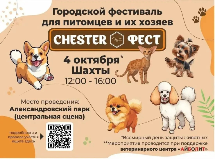 CHESTER ФЕСТ