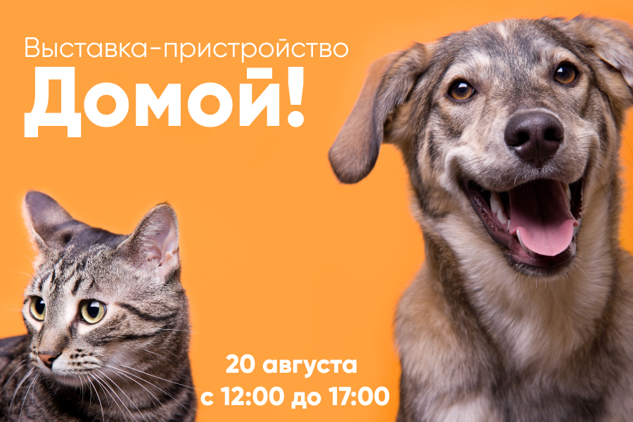 Выставка-пристройство «Домой» Выставка-пристройство «Домой»