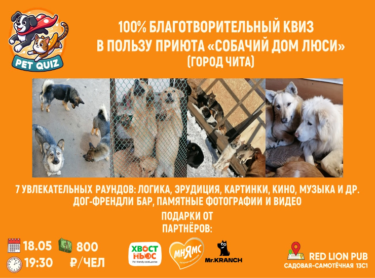 Благотворительный квиз в пользу приюта «Собачий дом Люси»