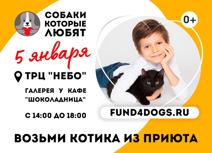 Новогодняя выставка кошек от фонда «Собаки, которые любят» Новогодняя выставка кошек от фонда «Собаки, которые любят»