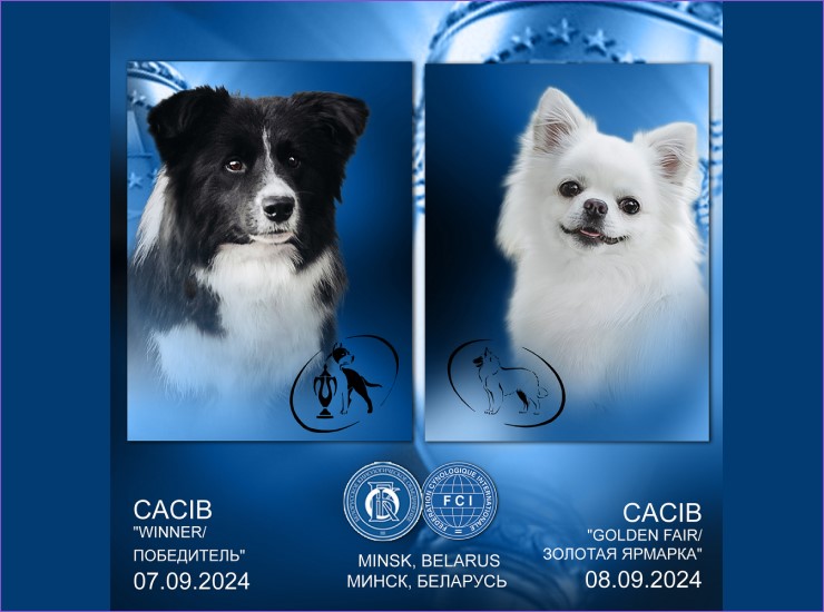 Международная выставка собак (CACIB) в Беларуси
