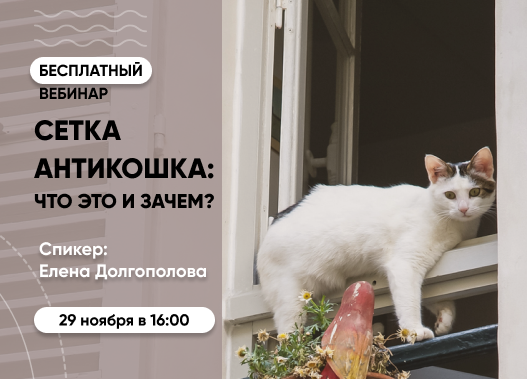 «Сетки-антикошка: зачем они нужны и как выбрать правильную»