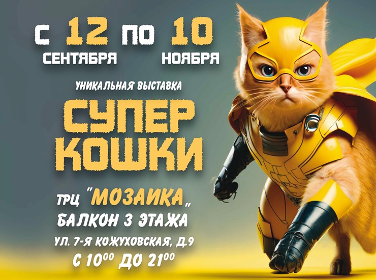 Супер-кошки