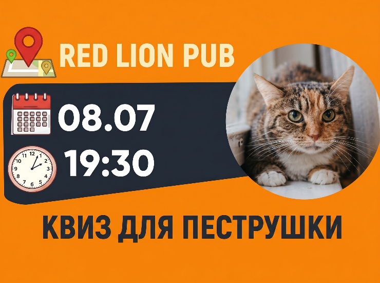 Благотворительный Pet Quiz в пользу кошки Пеструшки