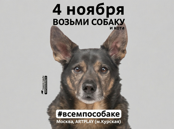 «Возьми собаку и кота»