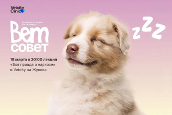 «Вся правда о наркозе»