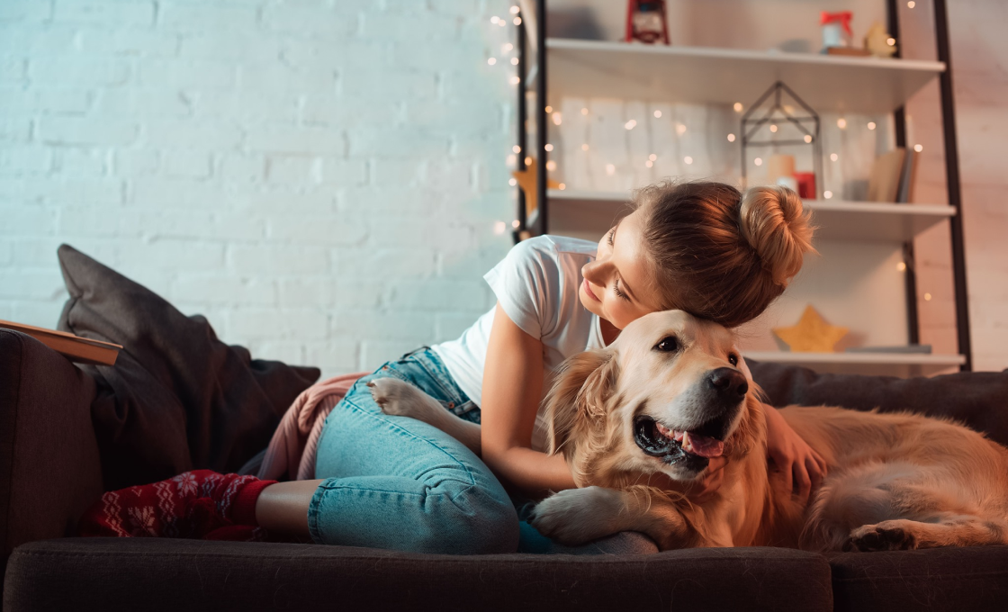 Школа "Хвост Ньюс", курсы для владельцев щенков