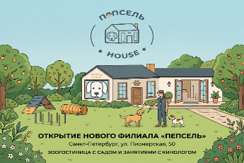 Открытие нового филиала «Пепсель»