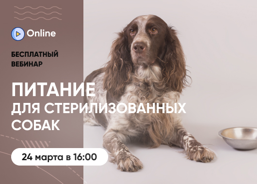 «Питание для стерилизованных собак»